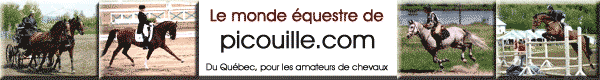 Bannière du monde équestre de Picouille.com.