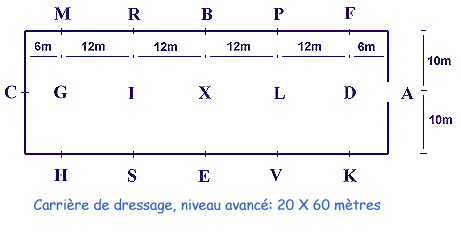 Diagramme du manège de dressage de 20 x 60 mètres