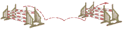 Illustration de la distance d'un oxer carré à un oxer carré».