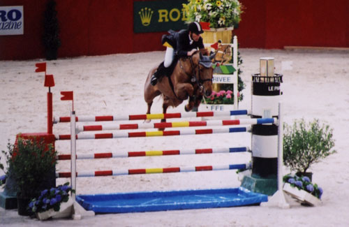 Jumping de Paris-Bercy, cheval franchissant un oxer «bidet».