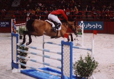 Jumping de Paris-Bercy, cheval franchissant oxer «bidet».