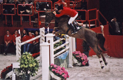 Jumping de Paris-Bercy, cheval franchissant un oxer.