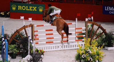 Jumping de Paris-Bercy, cheval franchissant un obstacle de type oxer.