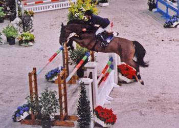 Jumping de Paris-Bercy, cheval franchissant des barres de spa.