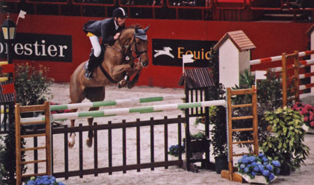 Jumping de Paris-Bercy, cheval franchissant un obstacle de type oxer.