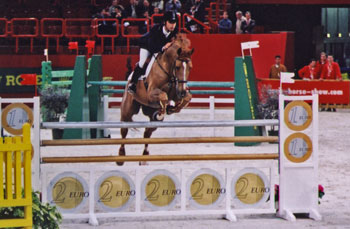 Jumping de Paris-Bercy, cheval franchissant un obstacle vertical.