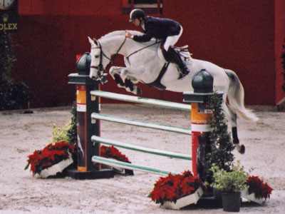 Jumping de Paris-Bercy, cheval franchissant un obstacle vertical.