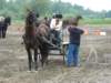 photo39_small.jpg