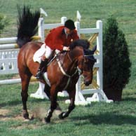 Photo de Éric Lamaze sur Cagney.