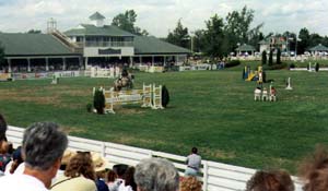 Photo de Amy Schaftmaster devant le Jockey Club