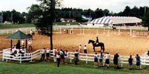 Le manège de réchauffement adjacent au terrain de compétition.