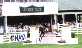 Photo à Blainville, devant le Jockey Club