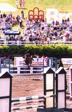 Photo d'un cheval franchissant un obstacle du Derby