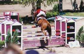 Photo d'un cheval franchissant les barres de Spa
