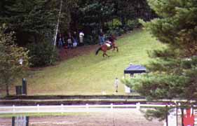 Photo d'un cheval dans la montée du Derby